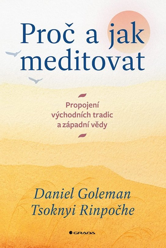 Proč a jak meditovat -  Tsoknyi Rinpoche