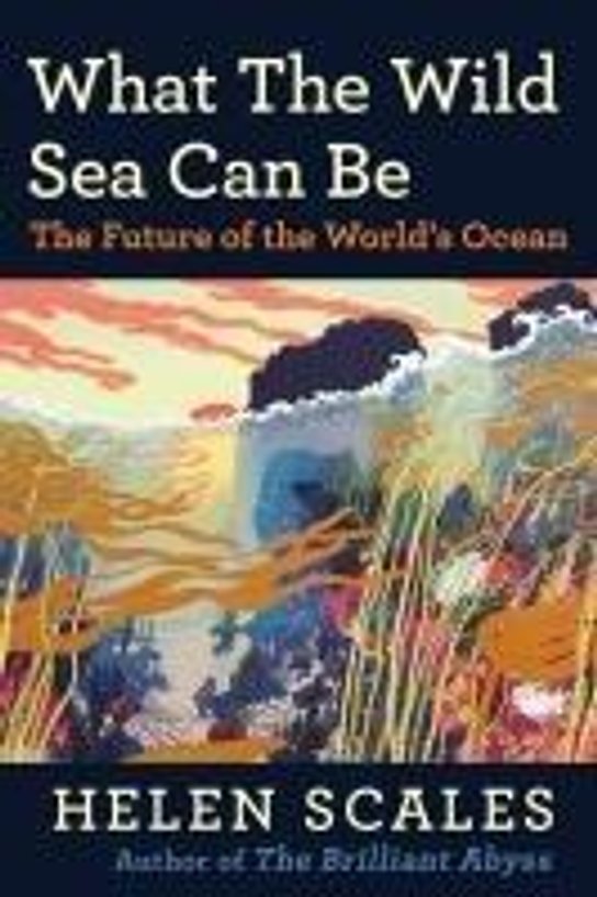 What the Wild Sea Can Be -  Jiří Kříž