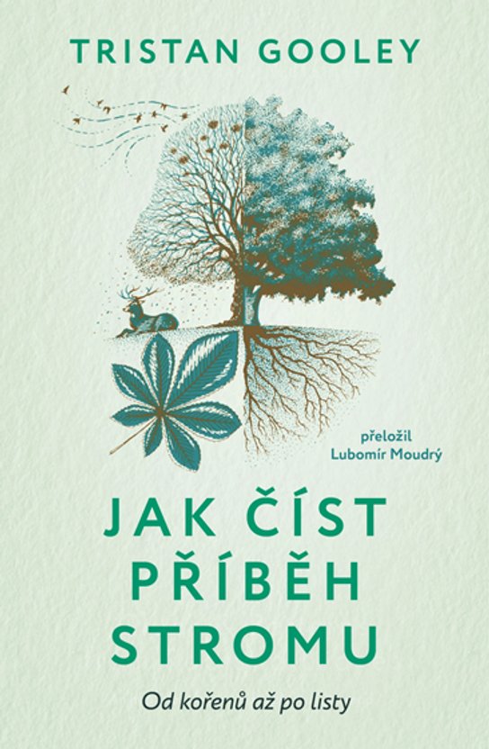 Jak číst příběh stromu -  Tristan Gooley