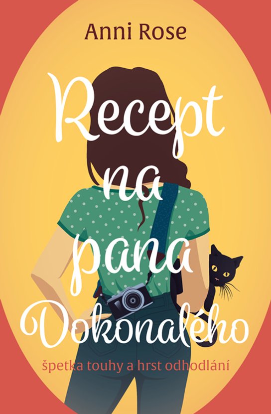 Recept na pana Dokonalého -  Anni Rose