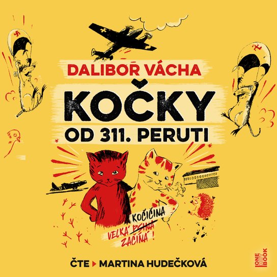 Kočky od 311. peruti -  Dalibor Vácha