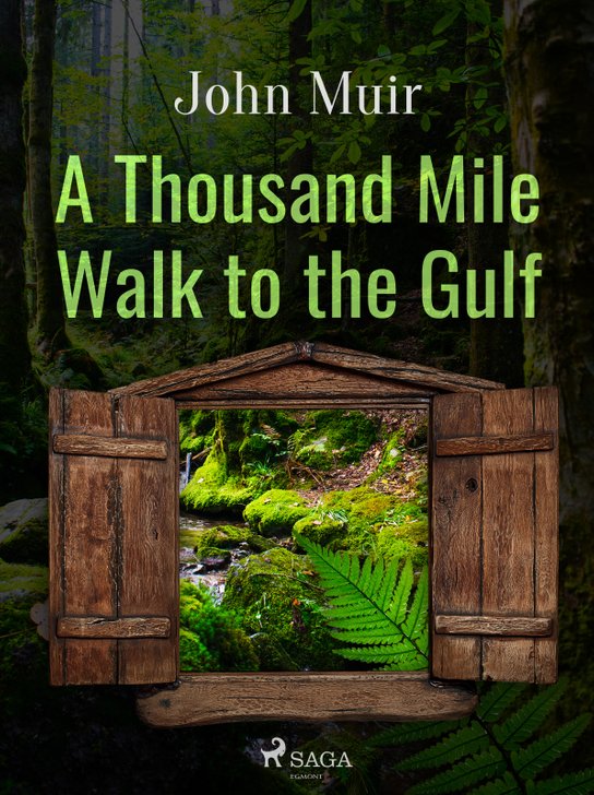 A Thousand Mile Walk to the Gulf -  John Muir