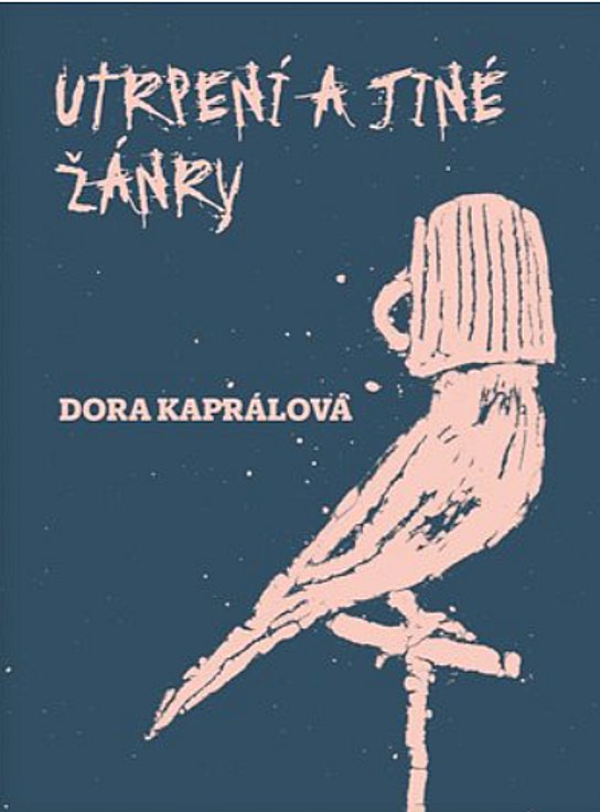 Aristokratka pod palbou lásky - Evžen Boček