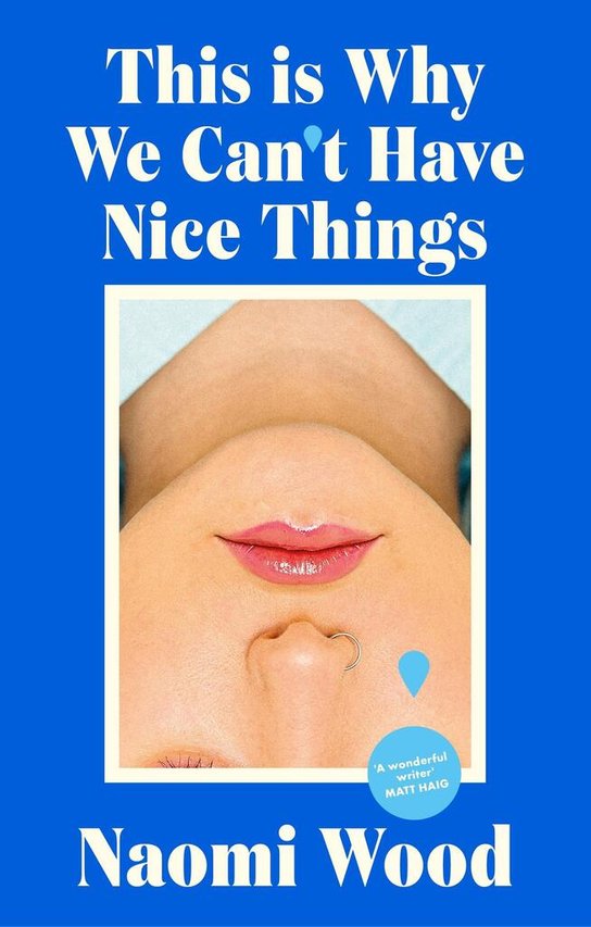 This Is Why We Can't Have Nice Things -  Naomi Wood