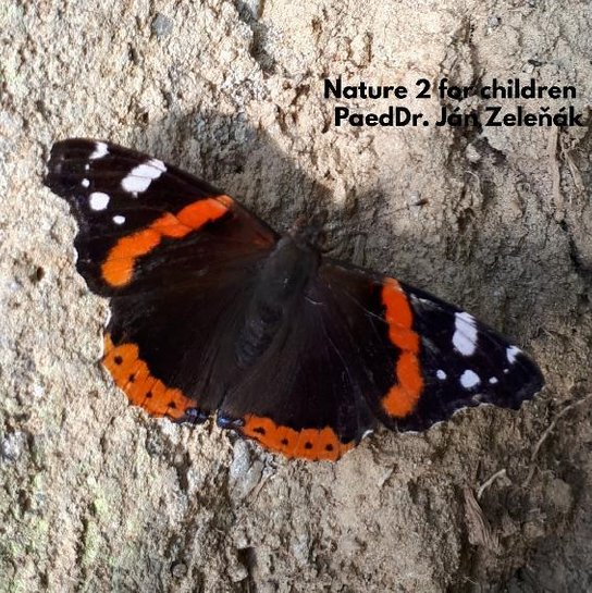 Nature for children, part 2 -  Ján Zeleňák