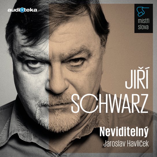 Neviditelný - Mistři slova -  Jaroslav Havlíček