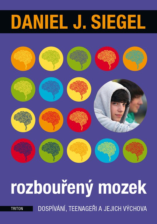 Rozbouřený mozek -  Daniel J. Siegel