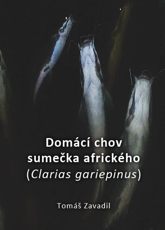 Domácí chov sumečka afrického - Tomáš Zavadil