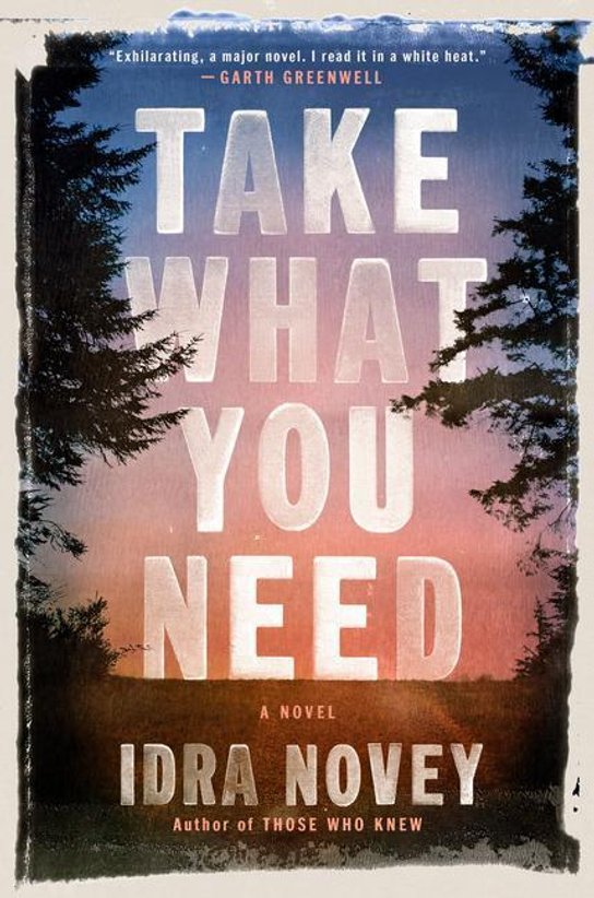 Take What You Need -  Idra Novey