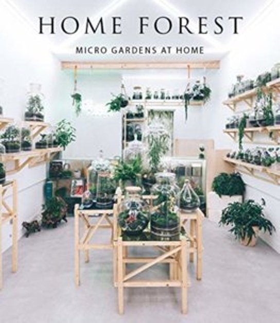 Home Forest: Interior Micro Gardens - Kniha