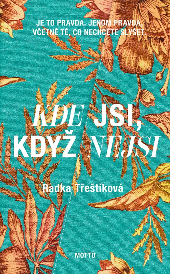 Kde jsi, když nejsi -  Radka Třeštíková
