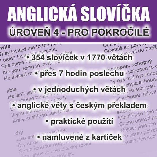 Anglická slovíčka - úroveň 4 pro pokročilé -  Ludvík Richard