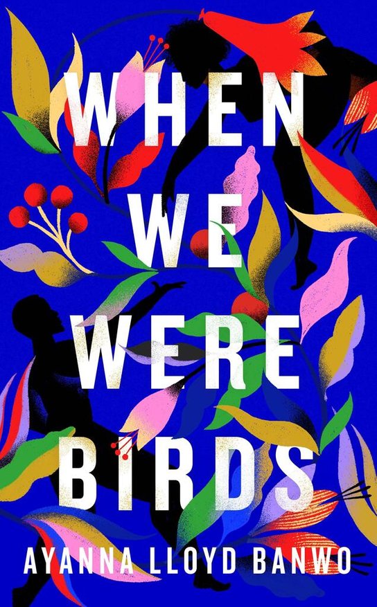 When We Were Birds -  Daniel V. Gallery