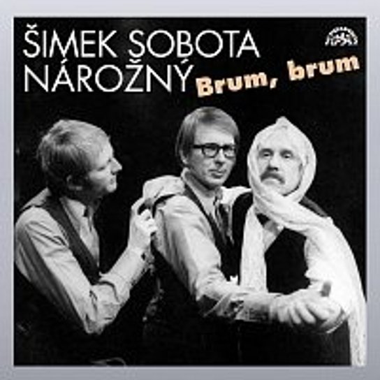 Brum, brum -  Luděk Sobota