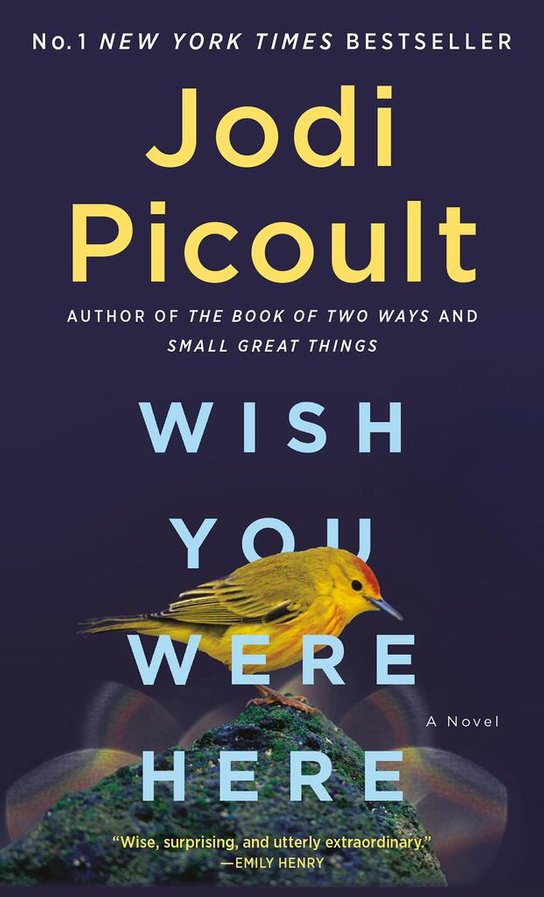 Wish You Were Here -  Jodi Picoult