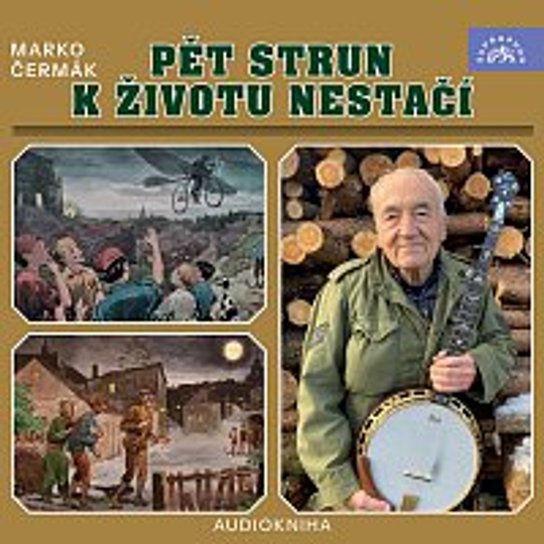 Pět strun k životu nestačí -  Bohumír Čermák