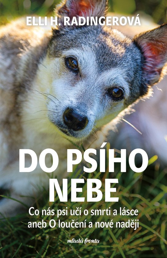 Do psího nebe -  Elli H. Radingerová