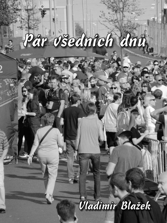 Pár všedních dnů - Vladimír Blažek