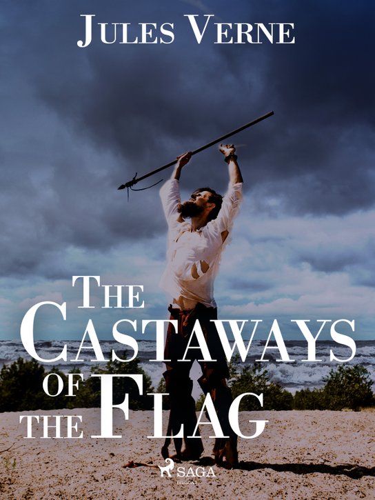 The Castaways of the Flag -  Jules Verne