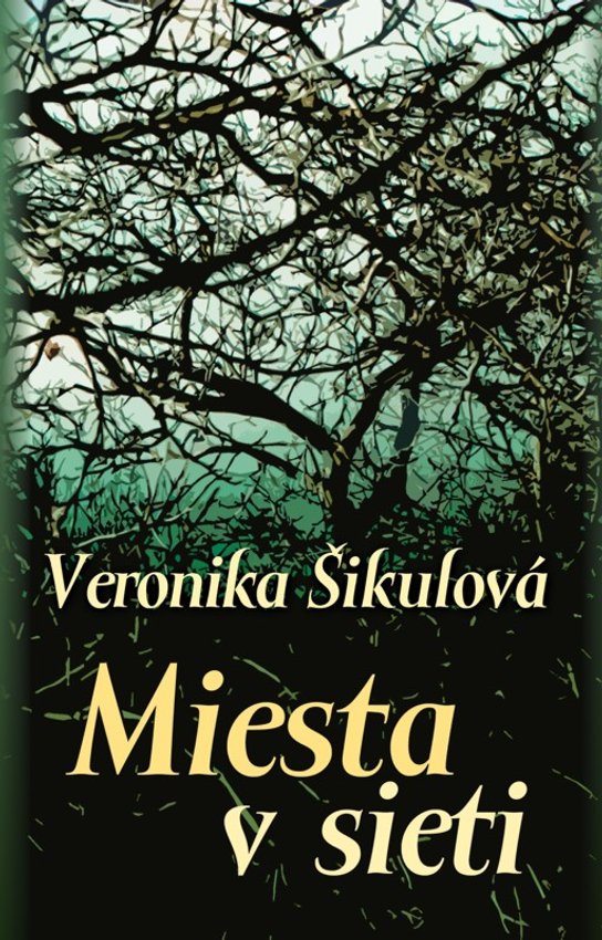 Miesta v sieti -  Veronika Šikulová