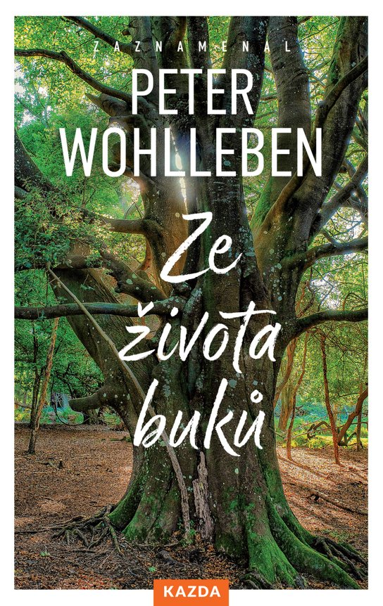 Ze života buků -  MUDr. Peter Wohlleben MUDr.