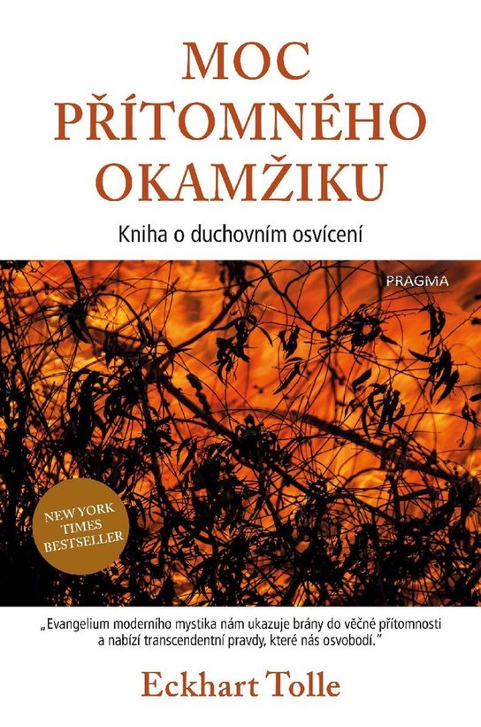 Moc přítomného okamžiku