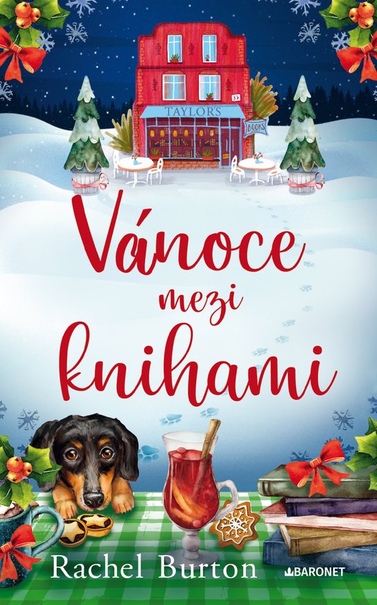 Vánoce mezi knihami -  Rachel Burton