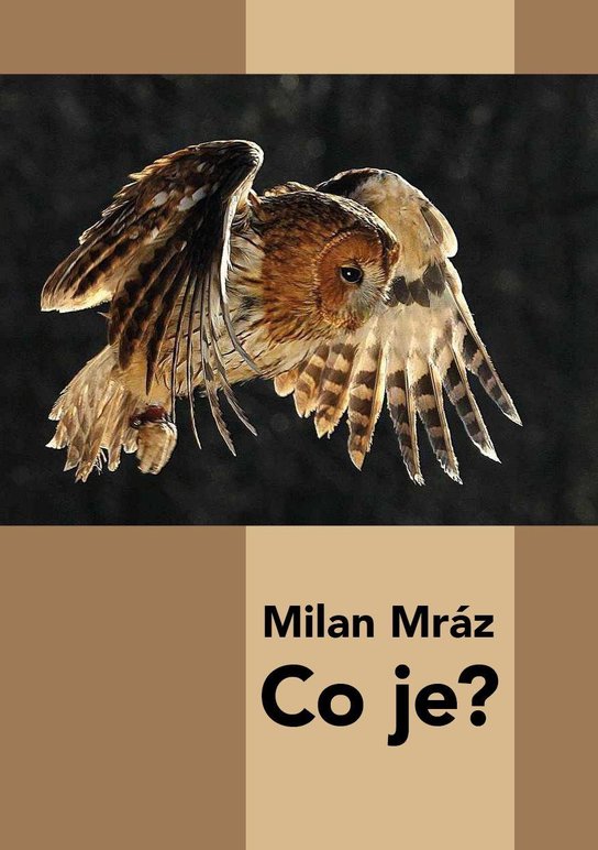 Co je? -  Milan Mráz