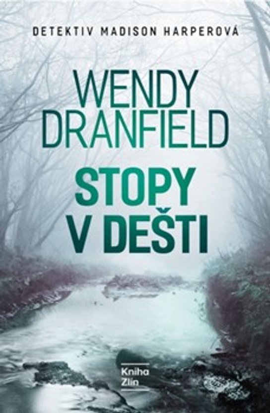 Stopy v dešti -  Wendy Dranfield