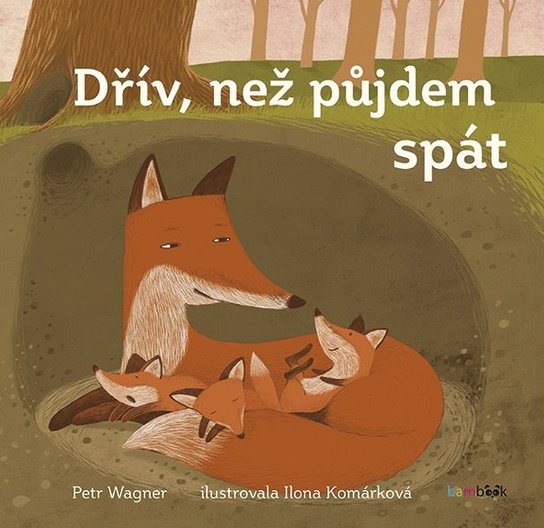 Dřív než půjdem spát -  Petr Wagner