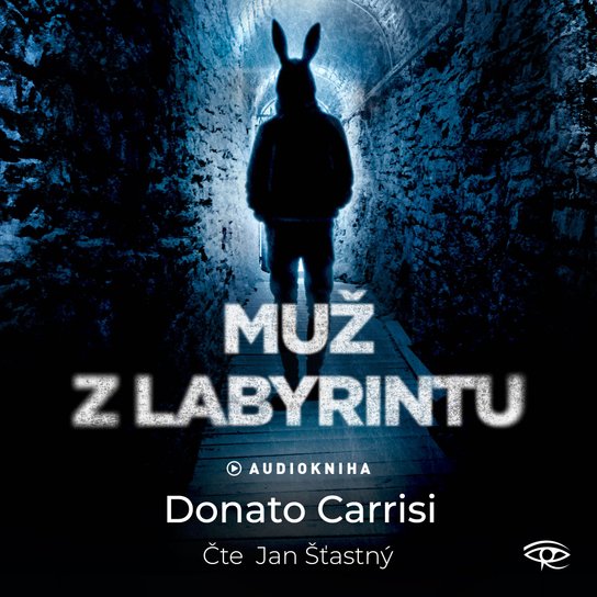 Muž z labyrintu -  Donato Carrisi