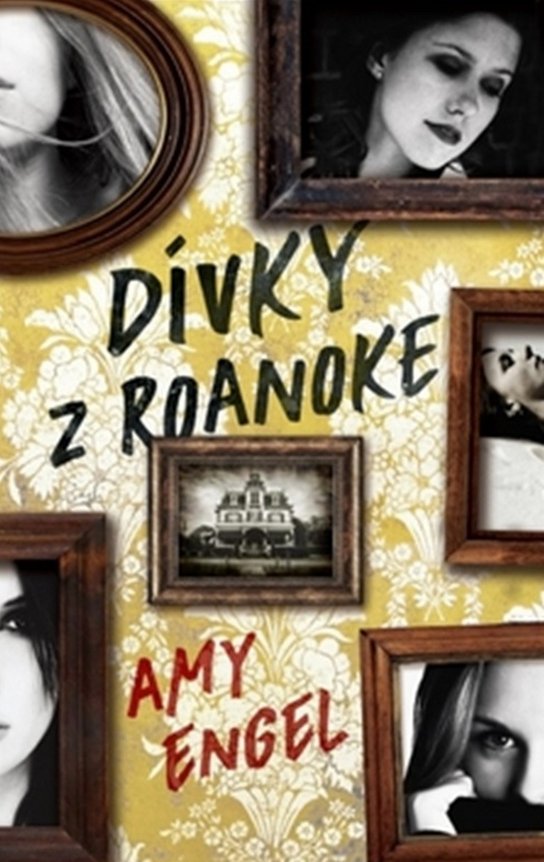 Dívky z Roanoke - Amy Engel - Kniha
