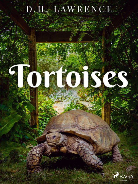 Tortoises -  D. H. Lawrence