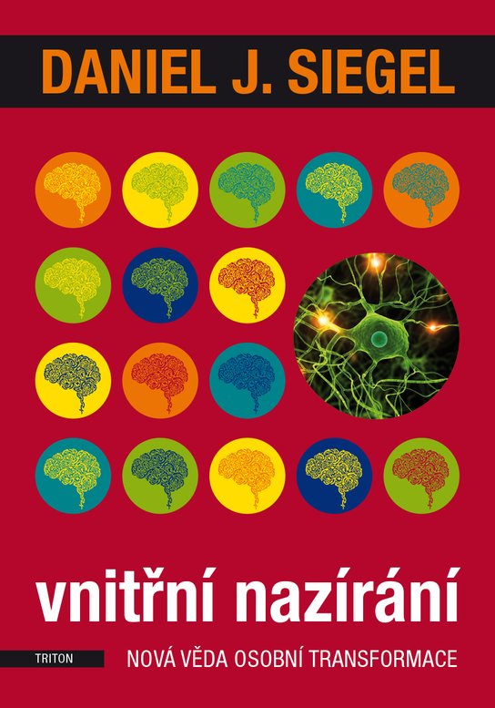 Vnitřní nazírání -  Daniel J. Siegel
