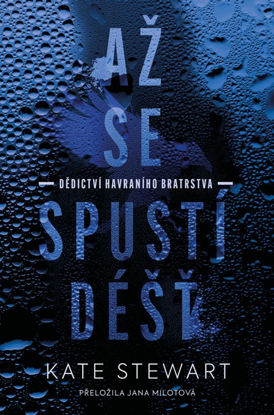 Až se spustí déšť -  Kate Stewart