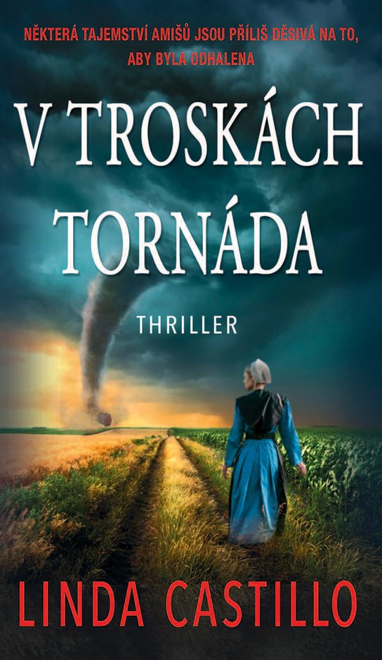 V troskách tornáda -  Linda Castillo