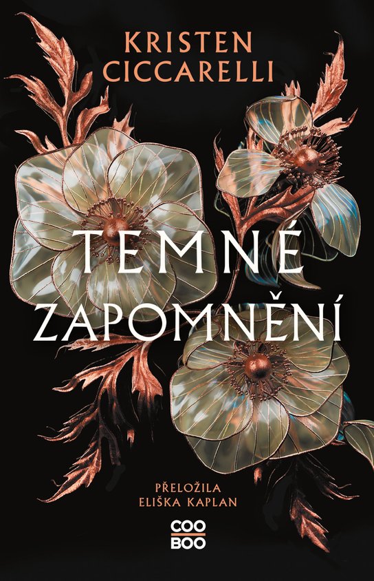 Temné zapomnění -  Kristen Ciccarelli