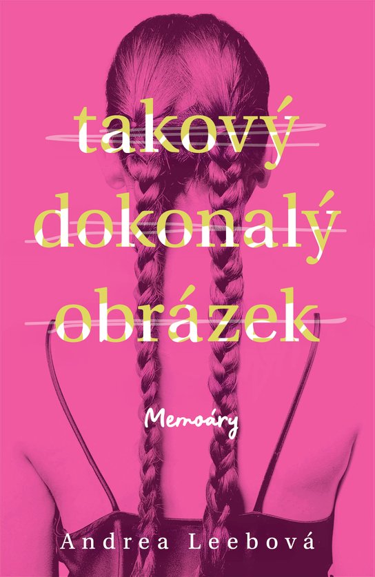 Takový dokonalý obrázek -  Andrea Leeb
