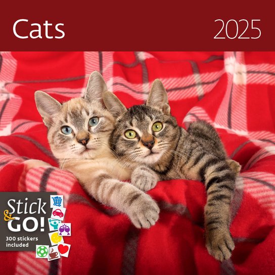 Cats 2025 - nástěnný kalendář -  Autor Neuveden