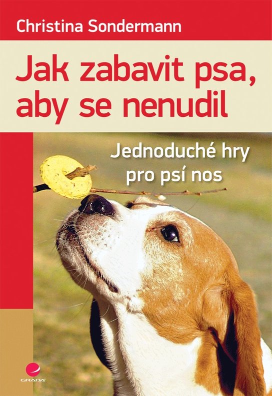 Jak zabavit psa, aby se nenudil -  Christina Sondermann