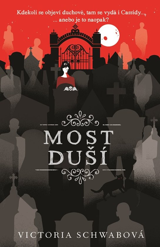 Most duší - Victoria Schwabová