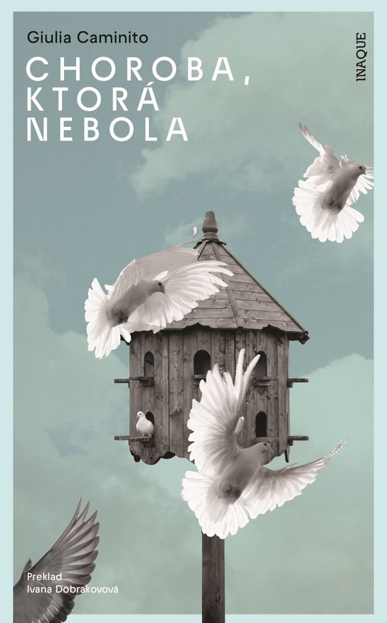 Choroba, ktorá nebola -  Giulia Caminito