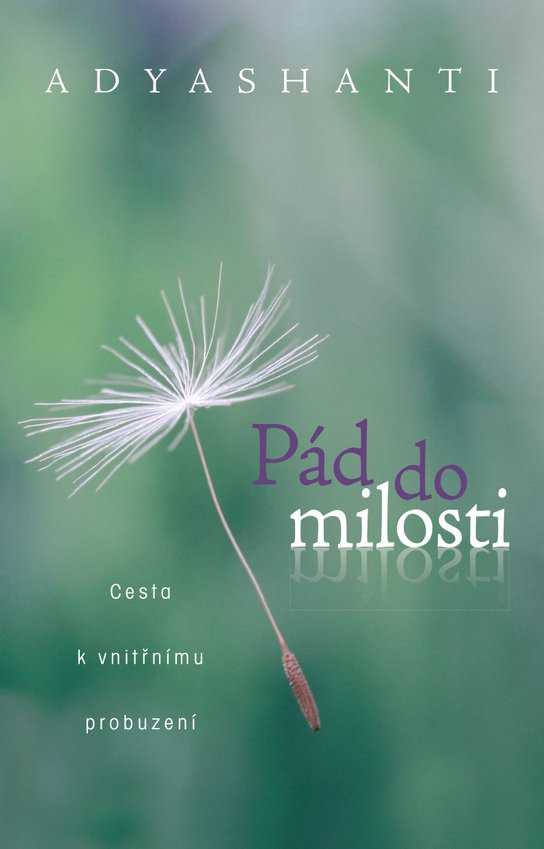 Pád do milosti - Adyshanti
