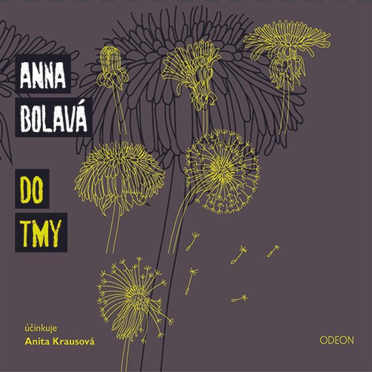 Do tmy -  Bolavá Anna