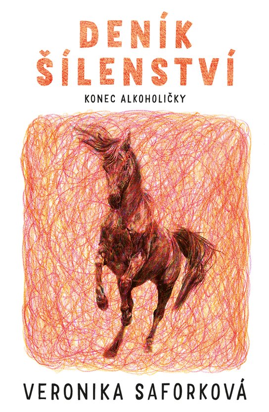 Deník šílenství -  Veronika Saforková