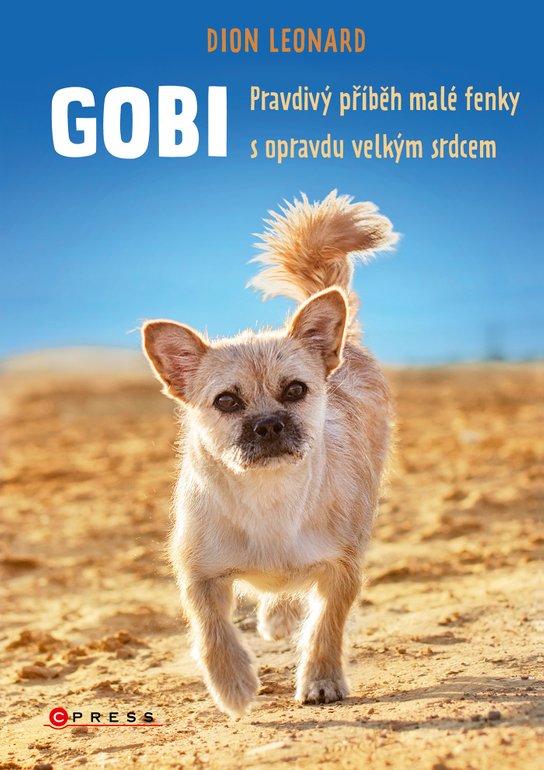 Gobi -  Dion Leonard