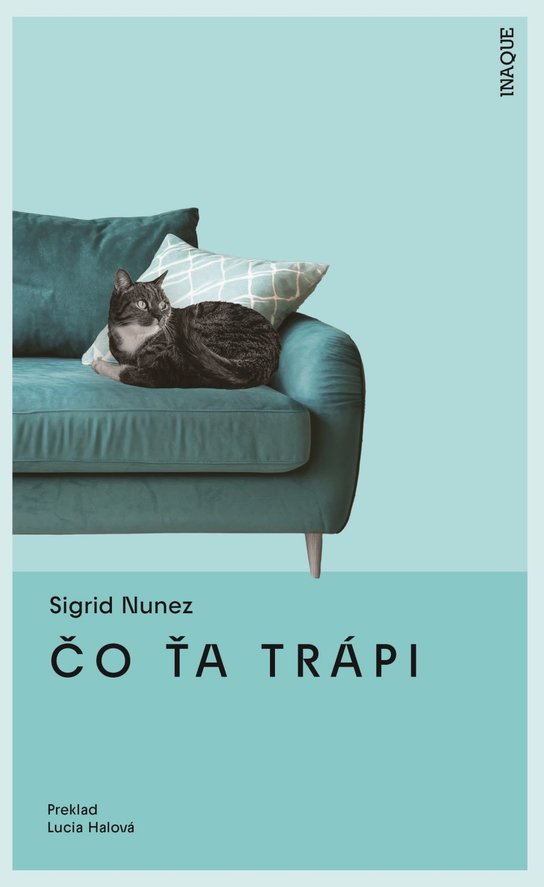 Čo ťa trápi -  Sigrid Nunez