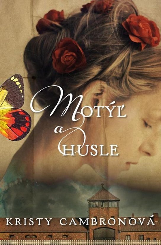 Motýľ a husle -  Kristy Cambron