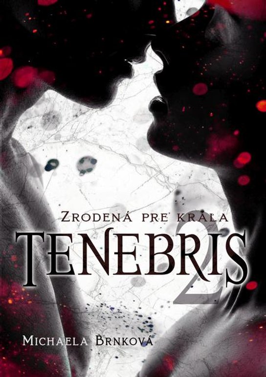 Tenebris 2 -  Michaela  Brnková