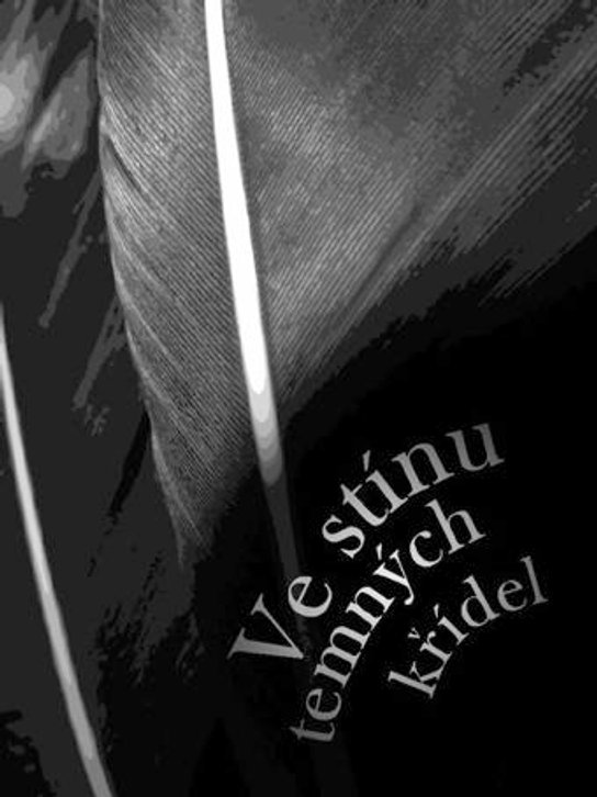 Ve stínu temných křídel - Zdenka Pšeničková